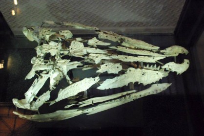 11392882_431292240387172_6610182163497450292_n-fit-418x278