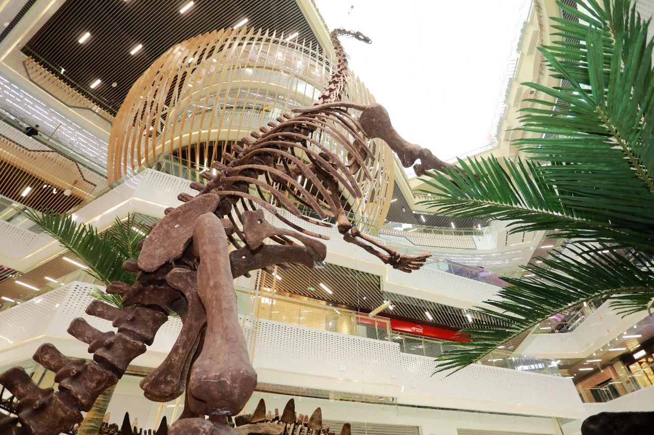 微信图片_20180613102939