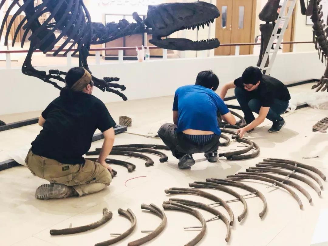 微信图片_20180613102653