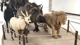 微信图片_20180613094946