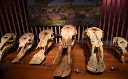 11401096_431616720354724_5485688153963241474_n-fit-418x260