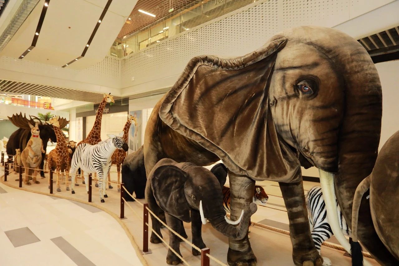 微信图片_20180613094952