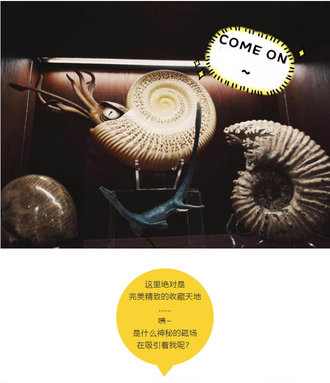 QQ浏览器截图20181105150104