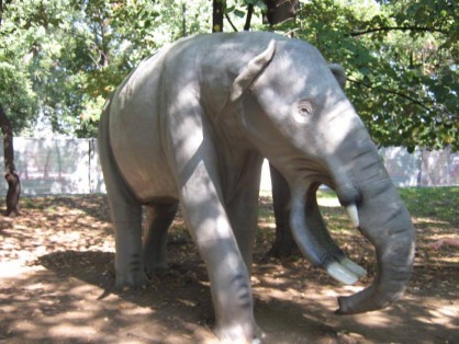 1505511_431616710354725_754324457341179293_n-fit-418x314