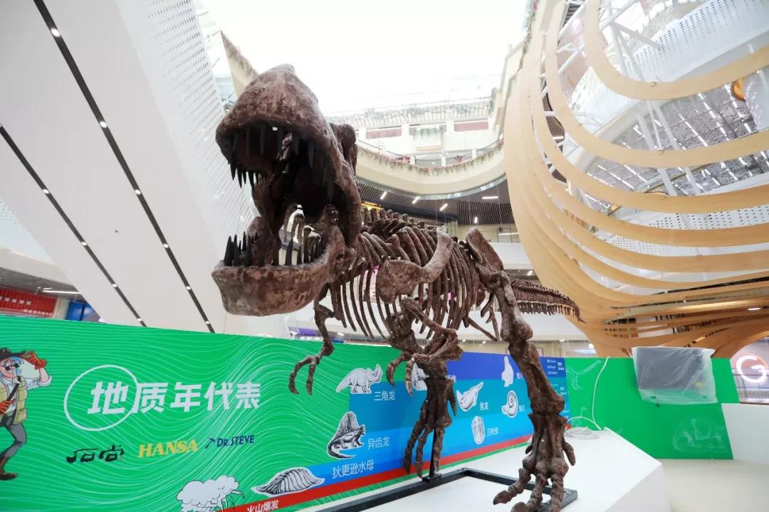 微信图片_20180613095747