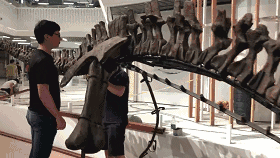 微信图片_20180613102753