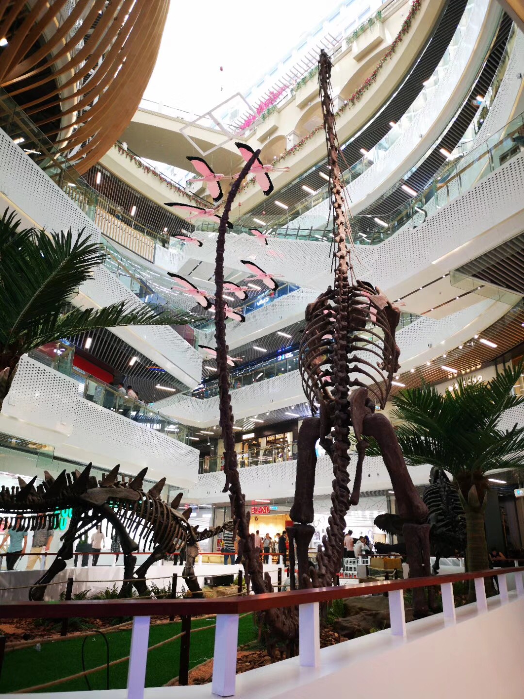 微信图片_20180613102548