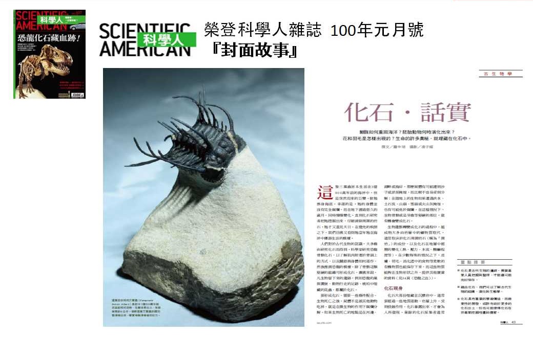 石尚簡(jiǎn)報(bào)