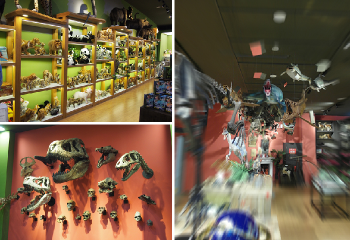 上海自然博物馆