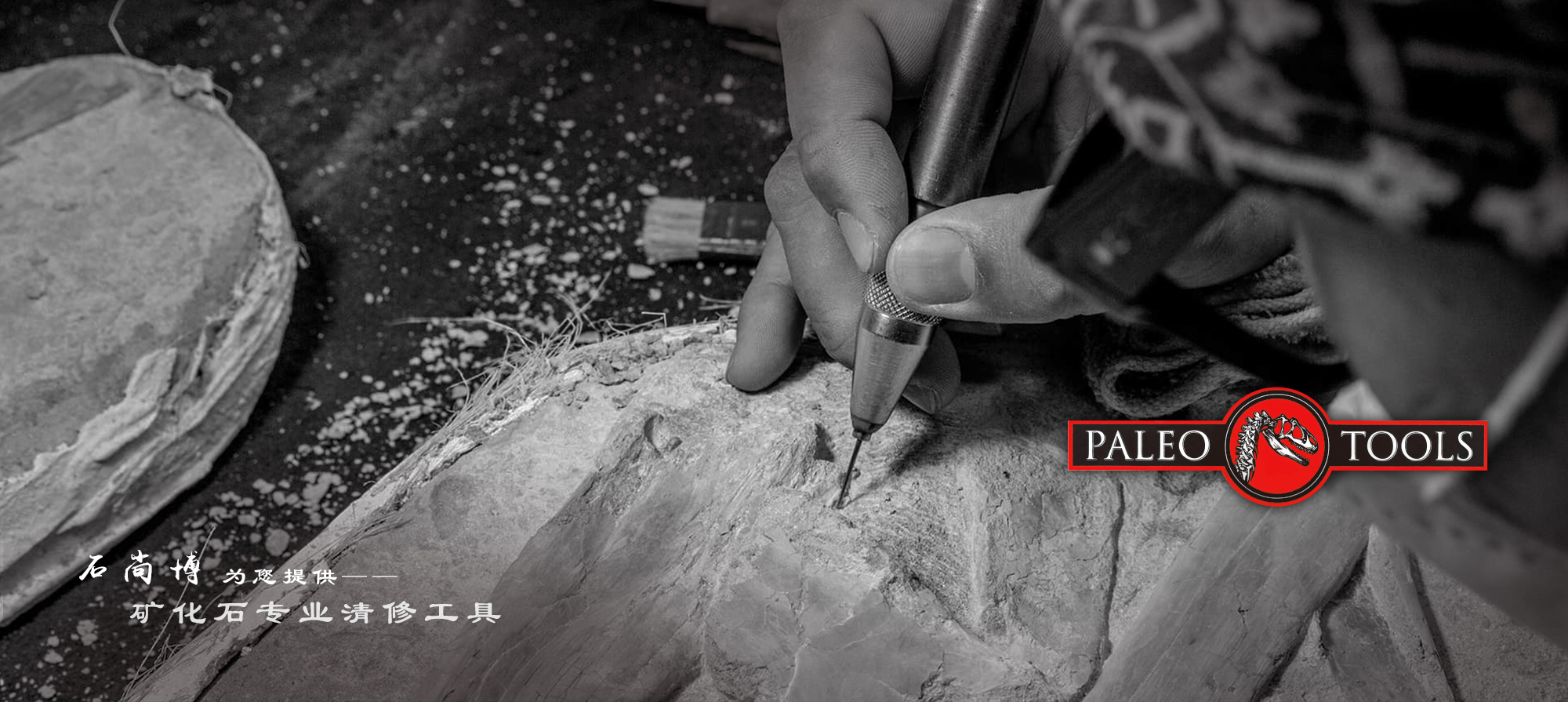 Paleo tools banner