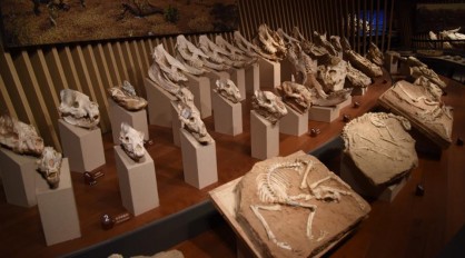 1555562_425779547605108_841109051518900439_n-fit-418x232