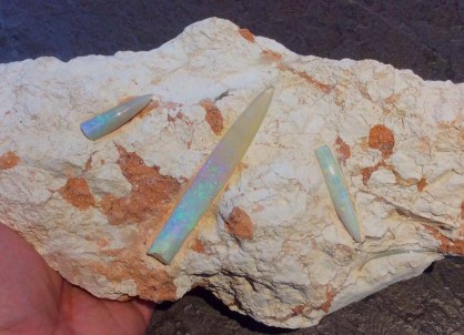 11350526_430585920457804_2221293778359008057_n-fit-418x302