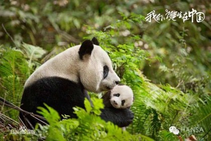 20160818-4-fit-420x280 20160818-4-fit-420x280